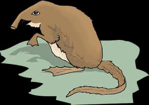 Anteater_ Illustration_ Vector PNG image with transparent background