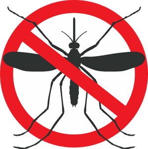 Mosquito Graphic - Mosquito Crossed Out, HD Png Download PNG image with transparent background