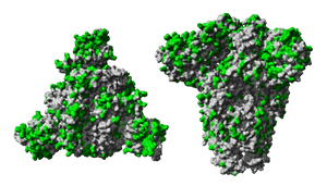 COVID-19 Virus PNG File PNG with transparent background