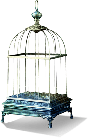 Tubes Bird Cage Png , Png Download - Cage À Oiseaux Png, Transparent Png PNG with transparent background