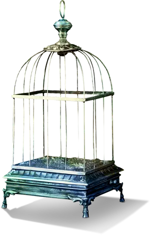 Antique Birdcage Design PNG Image