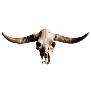 Antique Cow Skull Png 06132024 PNG Image