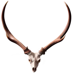 Antler Illustration Png 60 PNG Image