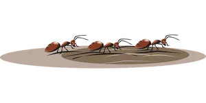 Ants_ Gathering_ Around_ Anthill_ Illustration PNG Image