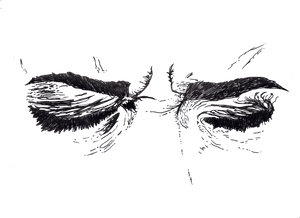 Anxiety Feathered Fracture PNG