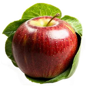 Apple Harvest Festival Png 06262024 PNG Image