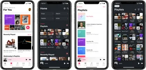 Apple Music App Screenshots PNG Image