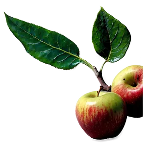 Apple With Leaf Png 06132024 PNG Image