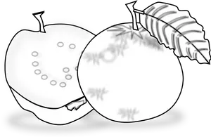 Appleand Guava Sketch PNG Image