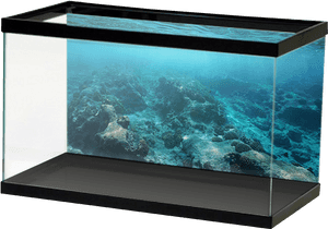 Aquariumvinyl - Aquarium Background Sticker Design, HD Png Download PNG image with transparent background