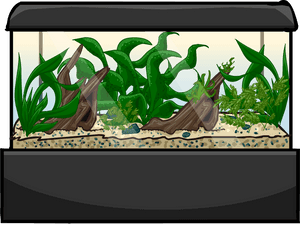 Club Penguin Rewritten Wiki - Club Penguin Fish Tank, HD Png Download PNG image with transparent background