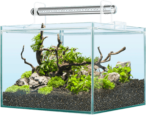 Sera Scaper Cubes, HD Png Download PNG image with transparent background