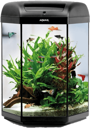 Aquarium Fish Tank Png Picture - Aquarium Aquael, Transparent Png PNG image with transparent background