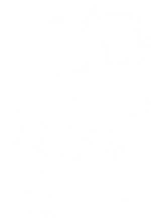 Aquarius Zodiac Sign Artwork PNG Image