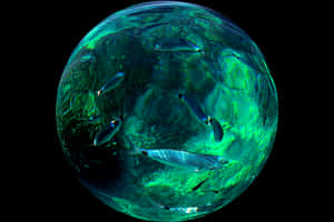 Aquatic Sphere Fish Environment PNG image with transparent background