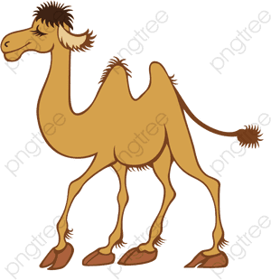 Arabian Camel, HD Png Download PNG image with transparent background