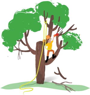 Arborist Pruning Tree PNG Image