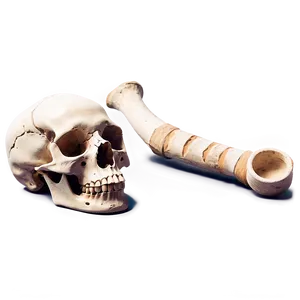 Archeological Dig Bones Png Xwn PNG Image