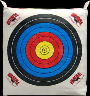Archery Target Cushion PNG image with transparent background