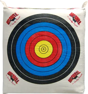 Archery Target Cushion PNG Image