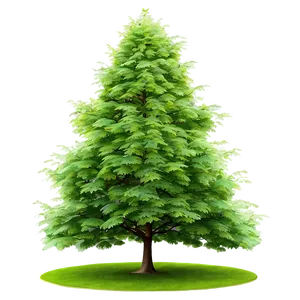 Architectural Tree Elevation Png Oie PNG Image