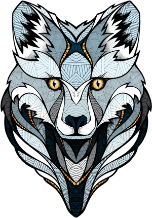 Snowboarding Drawing Burton - Andreas Preis Wolf, HD Png Download PNG with transparent background