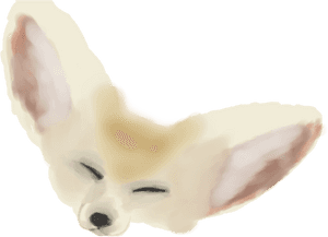 Transparent Fennec Fox Clipart - Arctic Fox, HD Png Download PNG with transparent background