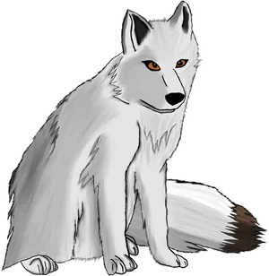 Arctic Fox Illustration PNG Image