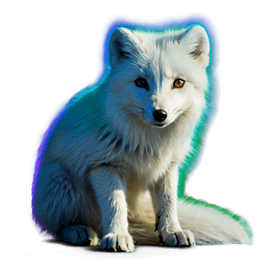 Arctic Fox in Northern Lights PNG ovt56 PNG image with transparent background