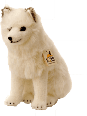 Arctic Fox Png Image Download - Snow Fox Kosen, Transparent Png PNG with transparent background