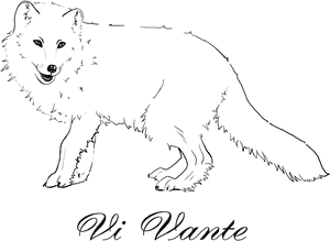 Arctic Fox Sticker, HD Png Download PNG image with transparent background