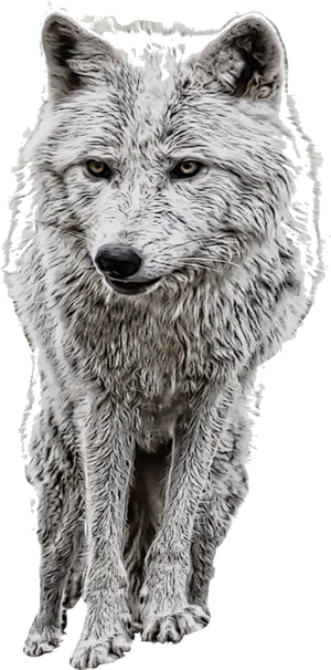 Arctic Fox Standing Portrait PNG Image