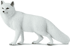 Arctic Fox Png Image File - Domestic Short-haired Cat, Transparent Png PNG image with transparent background