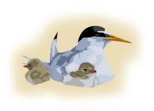 Arctic Ternwith Chicks PNG Image