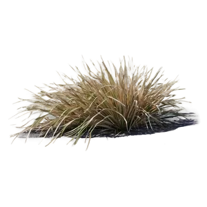 Arid Land Grass Png Cbt PNG Image