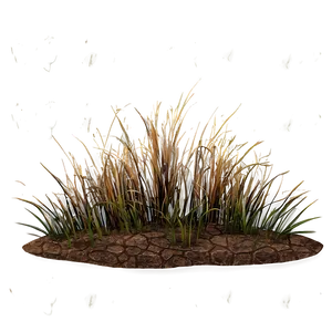 Arid Land Grass Png Svp75 PNG Image