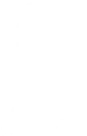 Arizona State Outline Silhouette PNG Image