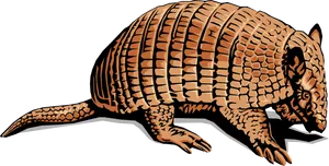 Armadillo Illustration.png PNG Image