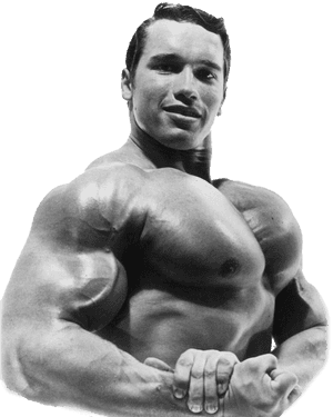 Arnold Schwarzenegger Bodybuilding Png Picture - Schwarzenegger Son, Transparent Png PNG image with transparent background