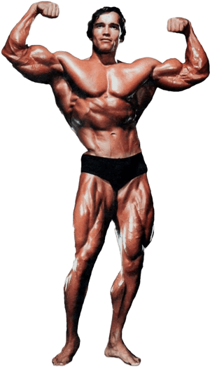 Arnold Schwarzenegger - Historyofbodybuilding - Com - Arnold Schwarzenegger Bodybuilding Png, Transparent Png PNG image with transparent background