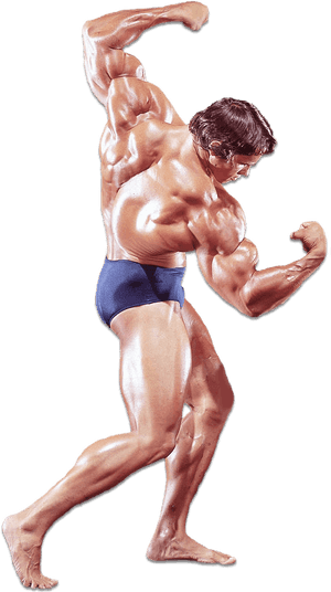 Arnold Schwarzenegger - Historyofbodybuilding - Com - Transparent Body Builder Png, Png Download PNG image with transparent background