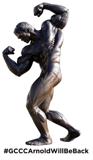 Arnold Statue Png, Transparent Png PNG image with transparent background