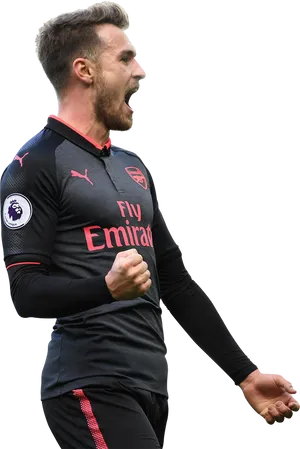 Arsenal Player Celebration PNG Image