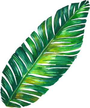 Art Edit Sticker - Banana Leaf Png, Transparent Png PNG image with transparent background
