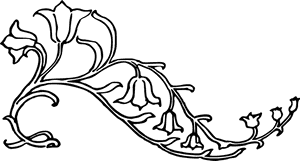 Leafy Png, Transparent Png PNG image with transparent background