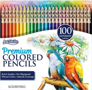 Art Skills Premium Colored Pencils Packaging PNG Image