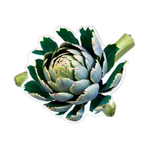 Artichoke Graphic Png 61 PNG Image