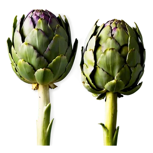 Artichoke Leaves Png Qta2 PNG Image