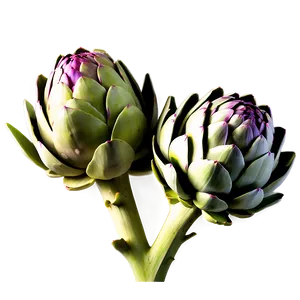 Artichoke Plant Png Lsn PNG Image