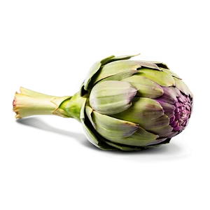 Artichoke Side View Png Ppi PNG Image